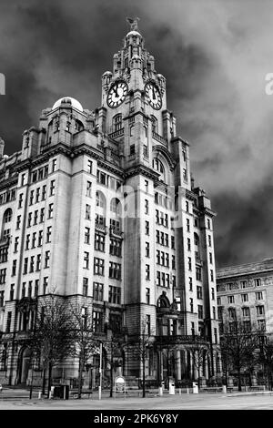 Royal Liver Building, Pier Head, Liverpool Banque D'Images