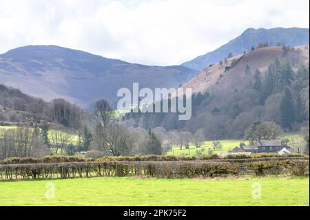 Paysage typique de Lake District Northern Lake District près de Bassenthwaite, Cumbria, Royaume-Uni Banque D'Images