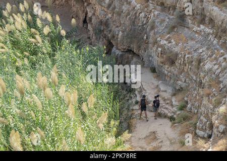 Deux hommes en randonnée sur la rive du ruisseau Prat dans le désert de Judée, Israël. Banque D'Images