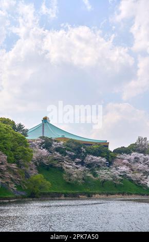 Cerisiers en fleurs et Budokan, Japan Martial Arts Hall Banque D'Images