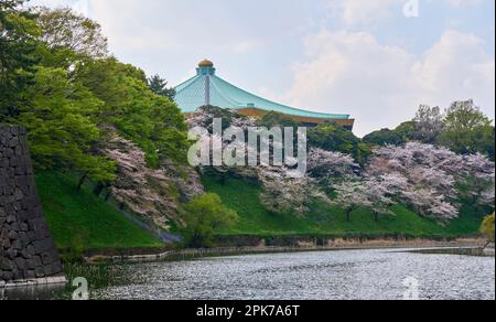 Cerisiers en fleurs et Budokan, Japan Martial Arts Hall Banque D'Images