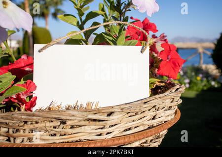 fleurs rouges dans un panier avec une affiche d'image blanche suspendue avec espace libre vide pour le gabarit ou la zone de copie vierge Banque D'Images