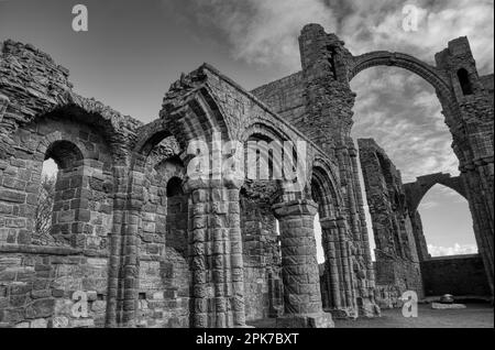 Arches gothiques Banque D'Images