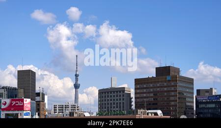 Tokyo Skytree, vue depuis le parc Ueno Banque D'Images