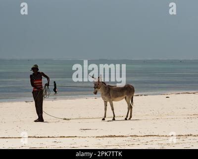 Matemwe, Zanzibar - Jan, 2021: La vie quotidienne de la population locale sur une plage de sable de Zanzibar. Tanzanie, Afrique Banque D'Images