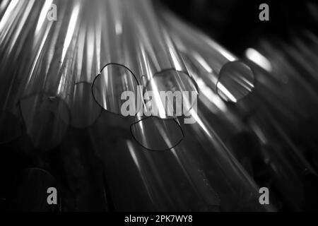 Cliché noir et blanc de tubes de verre cassés. Banque D'Images