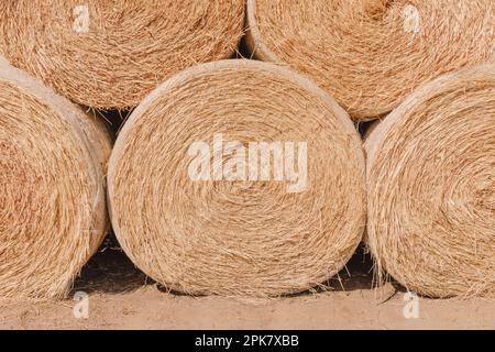 Balles de foin rondes empilées dans un champ après la récolte. Banque D'Images