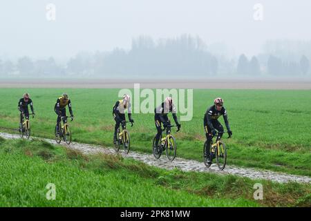 Roubaix, France. 06th avril 2023. Jumbo-Visma pilotes photographiés lors de la reconnaissance de la piste en prévision de la course cycliste Paris-Roubaix de cette année, jeudi 06 avril 2023, autour de Roubaix, France. La course cycliste Paris-Roubaix aura lieu le dimanche 09 avril. BELGA PHOTO DIRK WAEM crédit: Belga News Agency/Alay Live News Banque D'Images