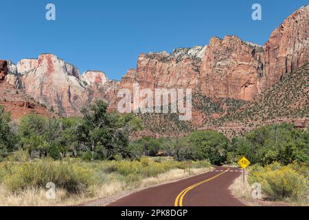 La route du parc de Zion Canyon serpentant à travers une végétation luxuriante avec des arbres de Cottonwood au pied des falaises abruptes de grès Navajo qui s'élèvent au-dessus de la vallée Banque D'Images