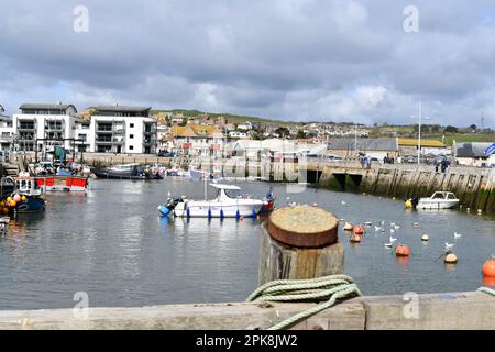 Vue sur le port de Bridport, West Bay, Dorset, Angleterre. Banque D'Images