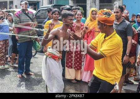 Un homme hindou de la tribu tamoule participe au rituel de piercing des joues et du corps lors de la célébration annuelle en commémoration du mois de Pangguni ou Pangguni Uthiram, qui est dans l'adoration du dieu Muruga. Banque D'Images