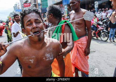 Un hindou tamoul participe au rituel de perçage des joues et du corps lors de la célébration annuelle en commémoration du mois de Pangguni ou Pangguni Uthiram, qui est dans l'adoration du dieu Muruga. (Photo de Kartik Byma / SOPA Images / Sipa USA) Banque D'Images