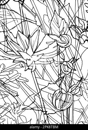 Croquis noir et blanc de dahlias en pleine floraison. Banque D'Images