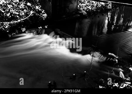 Courte exposition longue sur une petite rivière dans la forêt, photographie en noir et blanc Banque D'Images