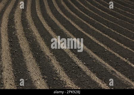 Sol fertile fraîchement labouré comme base pour une culture agricole fonctionnelle Banque D'Images