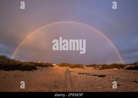 Arc-en-ciel sur dunes de sable. Parc national de Corralejo le matin, province de Las Palmas, Fuerteventura, îles Canaries, Espagne Banque D'Images