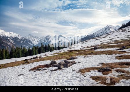 Magnifique Glade de montagne. Début du printemps. Panorama des montagnes enneigées. Rusinowa Polana, montagnes Tatra, Pologne Banque D'Images