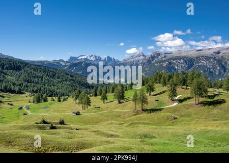 Hochabtei / Alta Badia, province de Bolzano, Tyrol du Sud, Italie, Europe. Vue sur les prés d'Armentara à Marmolada Banque D'Images