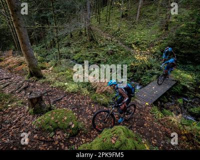 Motard de montagne sur un seul sentier dans les Hautes Vosges. Descente à Hirsteren Banque D'Images