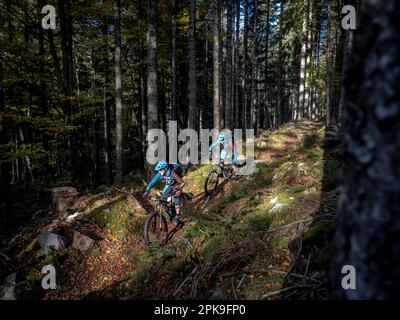 Motard de montagne sur un seul sentier dans les Hautes Vosges. Descente à Hirsteren Banque D'Images