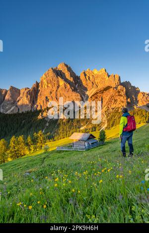 Dobbiaco, Val Pusteria, province de Bolzano, Tyrol du Sud, Italie. Alpenglow au lever du soleil dans les rochers de Dürrenstein Banque D'Images