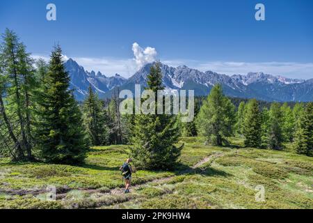 Dobbiaco, Val Pusteria, province de Bolzano, Tyrol du Sud, Italie. Un grimpeur sur le chemin de la randonnée Stoneman Dolomiti descendant du sommet de Marchkinkele. En arrière-plan les Dolomites Sesto Banque D'Images