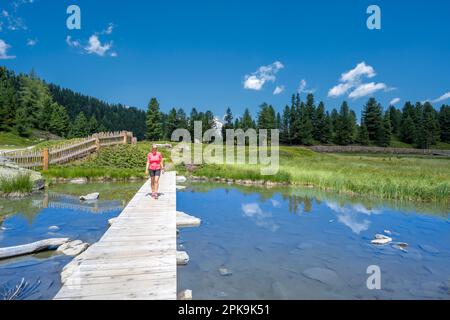 Speikboden, sable à Taufers, province de Bolzano, Tyrol du Sud, Italie. Un randonneur au Traiersee Banque D'Images