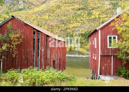 Norvège, Mosjoen, ville de la province de Vefsn (Nordland), serres locales typiques Banque D'Images