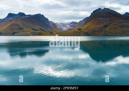 Norvège, côte Atlantique à Kystriksveien, route côtière Fv17, Nordfjord, vue sur le glacier Svartisen Banque D'Images