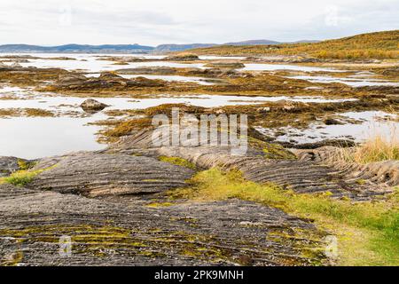 Norvège, côte Atlantique à Kystriksveien, route côtière Fv17, Helgelandskysten Banque D'Images