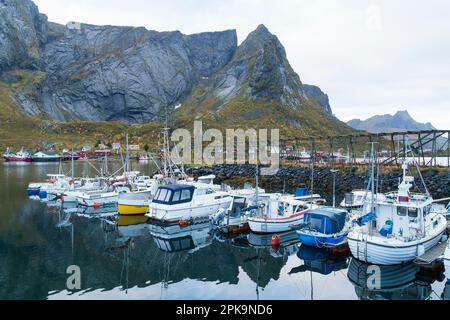 Norvège, Lofoten, Moskenesoya, Reine, port de plaisance, port de plaisance Banque D'Images