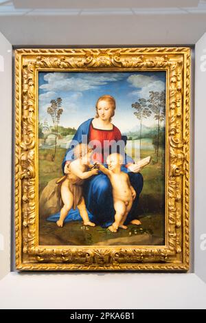 Florence, Italie - juin 2022: Madonna et l'enfant avec le jeune Saint Jean Baptiste - également nommé Madonna du Goldfinch, 1506, par Raffaello Sanzio. Raphaël Banque D'Images