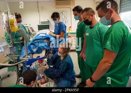 Formation de stagiaires médicaux à la technique ECMO, Oxygénation extracorporelle des membranes. Banque D'Images