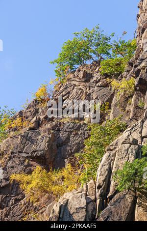 Rochers dans la vallée de la Bode, Thale, Harz, Saxe-Anhalt, Allemagne, Europe Banque D'Images