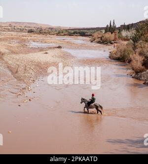 Maroc, ait-Ben-Haddou, ait-Ben-Haddou, cheval arabe, pilote en rivière, Banque D'Images