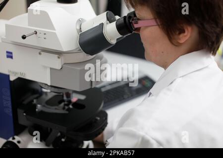 Laboratoire de cytogénétique. Banque D'Images