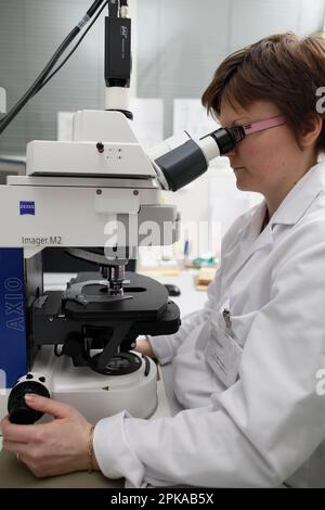 Laboratoire de cytogénétique. Banque D'Images