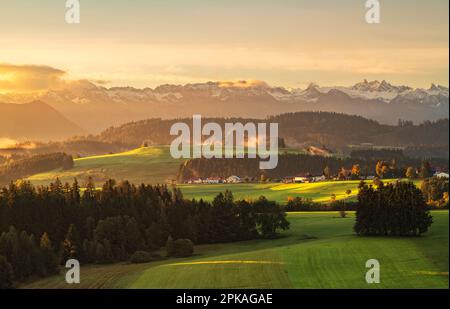 Idyllique Allgäu au lever du soleil. Vue sur les prairies et les forêts près de Hellengerst jusqu'aux Alpes Allgäu. Bavière, Allemagne Banque D'Images