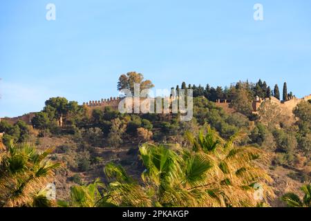 Les murs de Castillo de Gibsalfaro sur la colline au-dessus de Malaga, Andalousie, costa del sol, Espagne. Fortification du château mauresque Banque D'Images