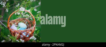 Les œufs de Pâques sont peints dans un magnifique panier en bois. Un panier en osier est suspendu sur une branche de cerises aux fleurs. Ambiance festive pour Pâques. Banque D'Images