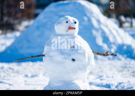 Bonhomme de neige solitaire dans un champ enneigé Banque D'Images