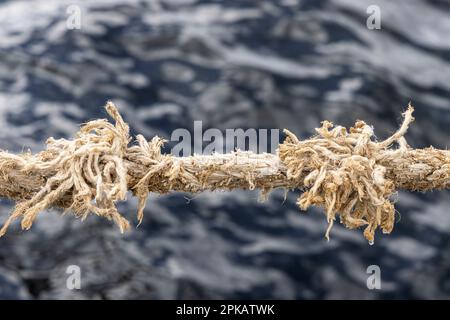 Corde de navire effilochée, détail, corde d'amarrage du voilier amarré à Bontekai, Wilhelmshaven, Basse-Saxe, Allemagne Banque D'Images