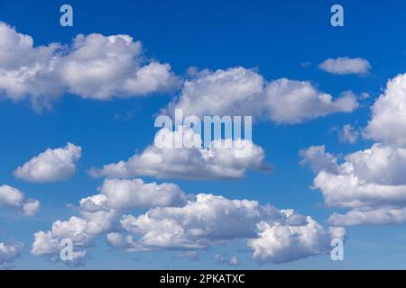 Atmosphère nuageuse, nuages cumulus contre ciel bleu, nuages source, nuage cumulus, Wilhelmshaven, Basse-Saxe, Allemagne Banque D'Images