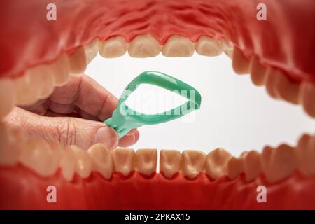 Modèle de soins dentaires ouvert, cavité buccale, grattoir de langue pour le nettoyage de la langue, détail, image de symbole, mauvaise haleine, fond blanc, Banque D'Images