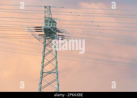 Pôle de puissance, sous-station Wolmirstedt, Saxe-Anhalt, Allemagne Banque D'Images