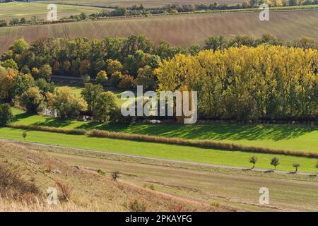 Vue de la réserve naturelle de Schafberg et de Nüssenberg près du village viticole de Zscheiplitz dans la plaine d'inondation de Unstrut, Burgenlandkreis, Saxe-Anhalt, Allemagne Banque D'Images