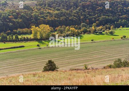 Vue de la réserve naturelle de Schafberg et de Nüssenberg près du village viticole de Zscheiplitz dans la plaine d'inondation de Unstrut, Burgenlandkreis, Saxe-Anhalt, Allemagne Banque D'Images