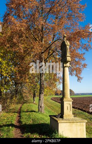 Sanctuaire de Wayside dans la réserve naturelle Altmain près de Grafenrheinfeld, quartier de Schweinfurt, Basse-Franconie, Franconie, Bavière, Allemagne Banque D'Images