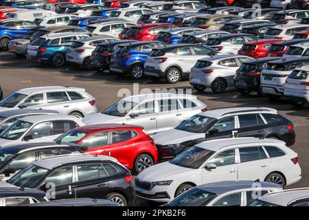 Duisburg, Rhénanie-du-Nord-Westphalie, Allemagne - voitures neuves, point de transbordement, terminal de voiture dans le port de Duisburg Banque D'Images