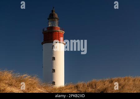 Phare, île d'Anholt, Kattegat, mer Baltique, Danemark Banque D'Images